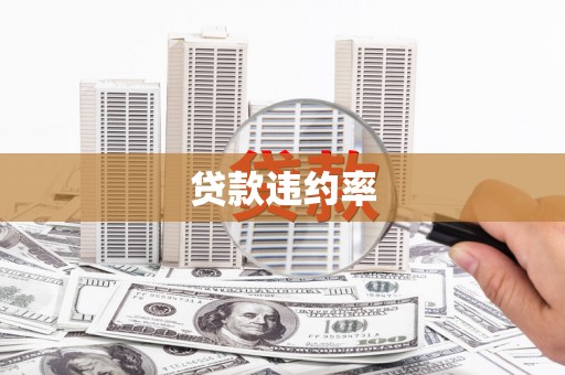 文圣贷款违约率