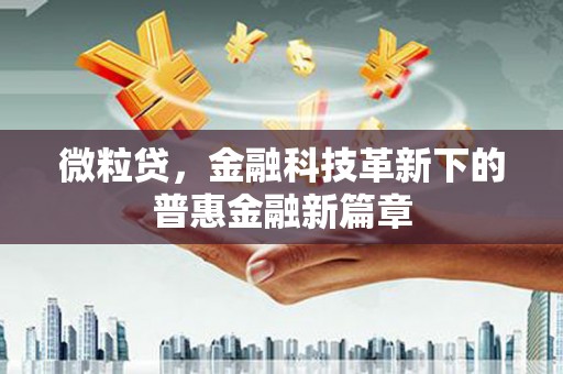 文圣微粒贷，金融科技革新下的普惠金融新篇章