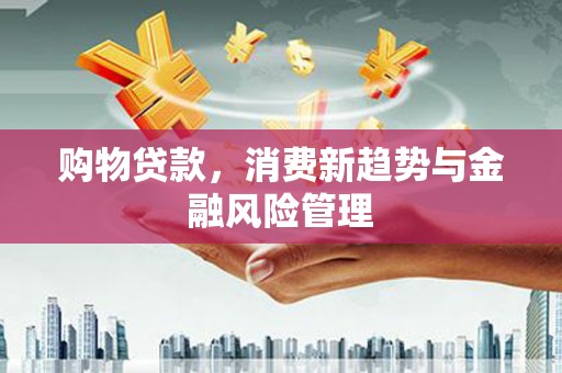 文圣购物贷款，消费新趋势与金融风险管理