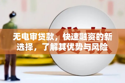 文圣无电审贷款，快速融资的新选择，了解其优势与风险
