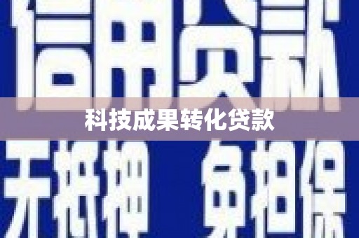 文圣科技成果转化贷款