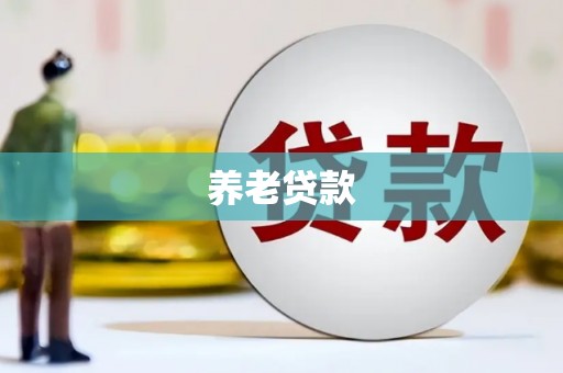 文圣养老贷款