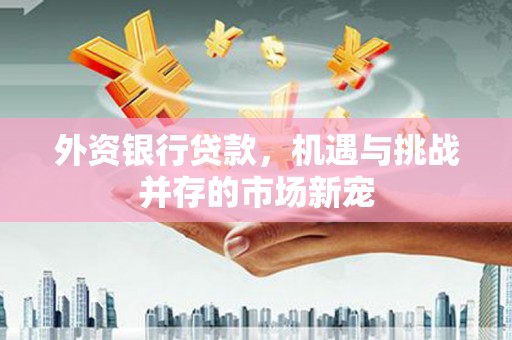 文圣外资银行贷款，机遇与挑战并存的市场新宠
