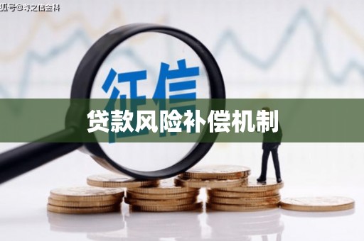 文圣贷款风险补偿机制