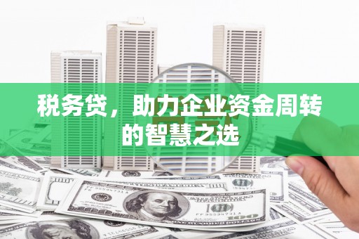 文圣税务贷，助力企业资金周转的智慧之选