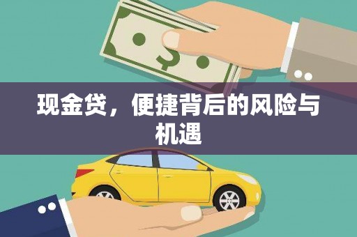文圣现金贷，便捷背后的风险与机遇
