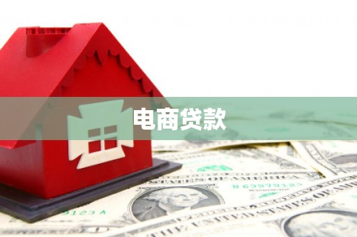 文圣电商贷款