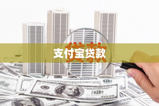 文圣支付宝贷款