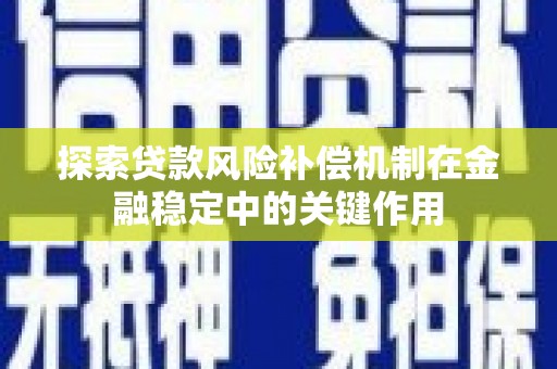 文圣探索贷款风险补偿机制在金融稳定中的关键作用
