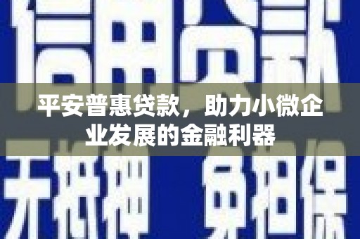 文圣平安普惠贷款，助力小微企业发展的金融利器