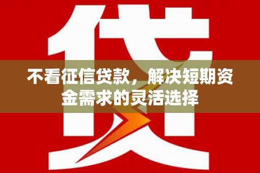 文圣不看征信贷款，解决短期资金需求的灵活选择