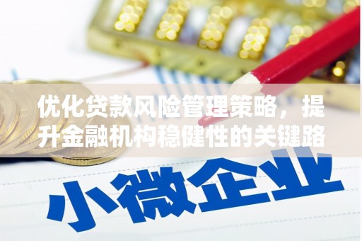 文圣优化贷款风险管理策略，提升金融机构稳健性的关键路径
