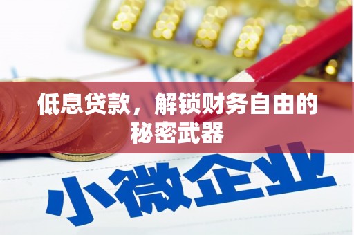 文圣低息贷款，解锁财务自由的秘密武器