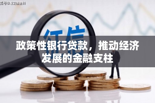 文圣政策性银行贷款，推动经济发展的金融支柱