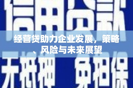 文圣经营贷助力企业发展，策略、风险与未来展望