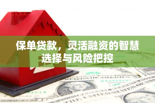 文圣保单贷款，灵活融资的智慧选择与风险把控