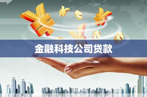 文圣金融科技公司贷款