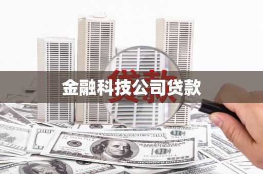 文圣金融科技公司贷款