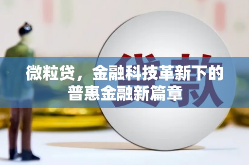 文圣微粒贷，金融科技革新下的普惠金融新篇章