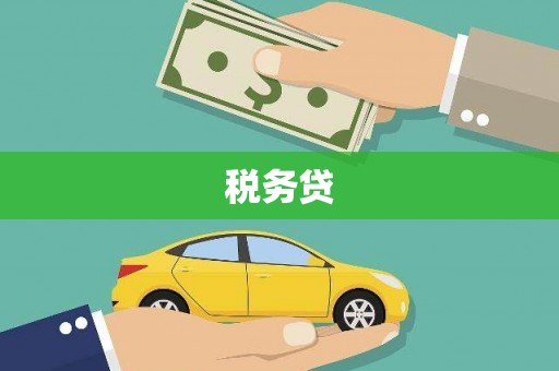 文圣税务贷