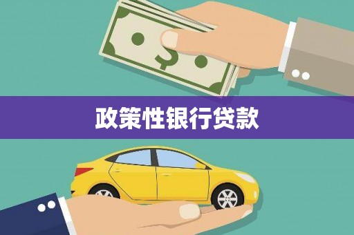 文圣政策性银行贷款