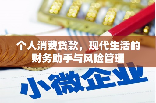 文圣个人消费贷款，现代生活的财务助手与风险管理