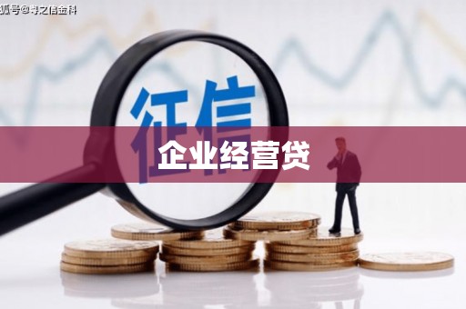 文圣企业经营贷