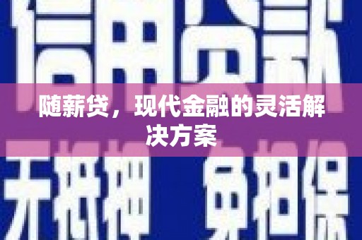 文圣随薪贷，现代金融的灵活解决方案