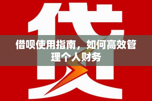 文圣借呗使用指南，如何高效管理个人财务