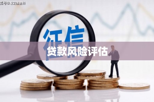 文圣贷款风险评估