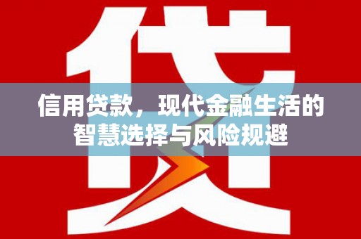 文圣信用贷款，现代金融生活的智慧选择与风险规避