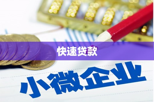 文圣快速贷款
