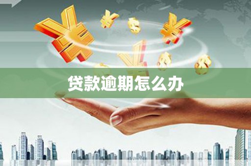 文圣贷款逾期怎么办