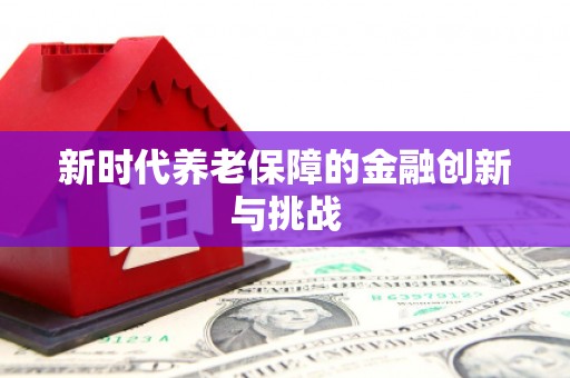 文圣新时代养老保障的金融创新与挑战