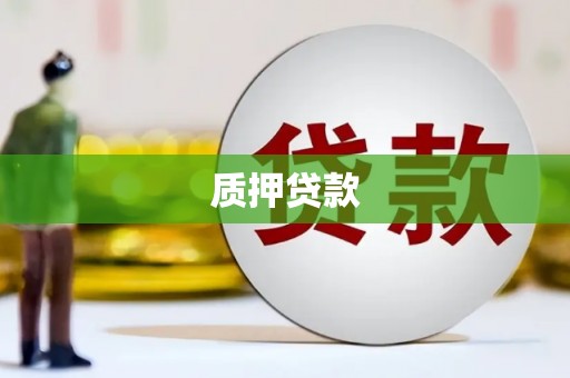 文圣质押贷款