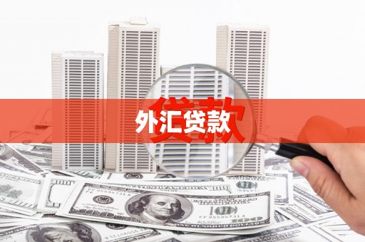 文圣外汇贷款