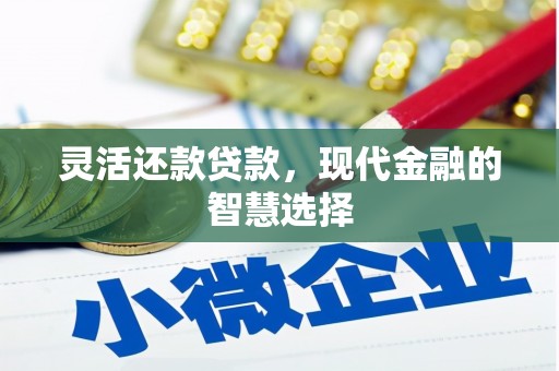 文圣灵活还款贷款，现代金融的智慧选择