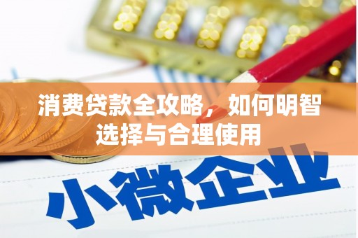 文圣消费贷款全攻略，如何明智选择与合理使用