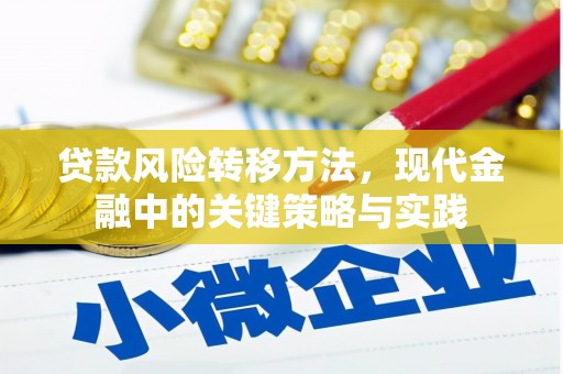 文圣贷款风险转移方法，现代金融中的关键策略与实践