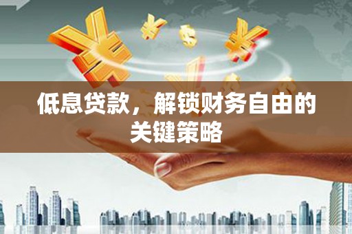 文圣低息贷款，解锁财务自由的关键策略