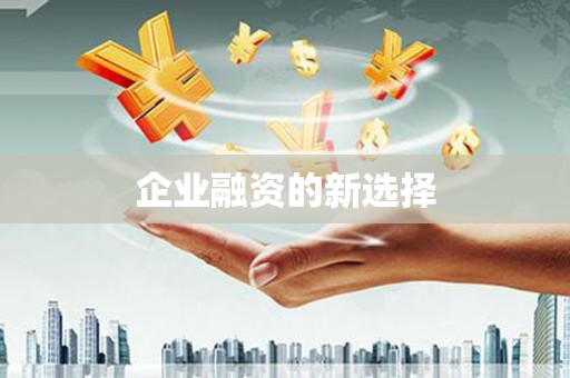 文圣企业融资的新选择