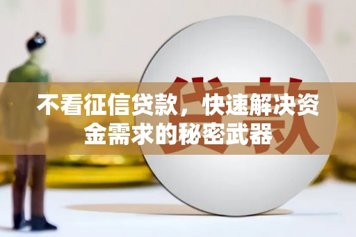 文圣不看征信贷款，快速解决资金需求的秘密武器