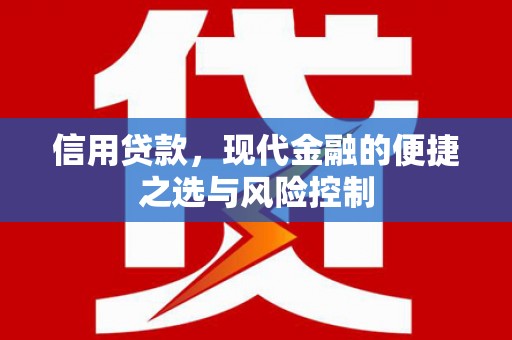 文圣信用贷款，现代金融的便捷之选与风险控制
