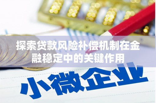 文圣探索贷款风险补偿机制在金融稳定中的关键作用