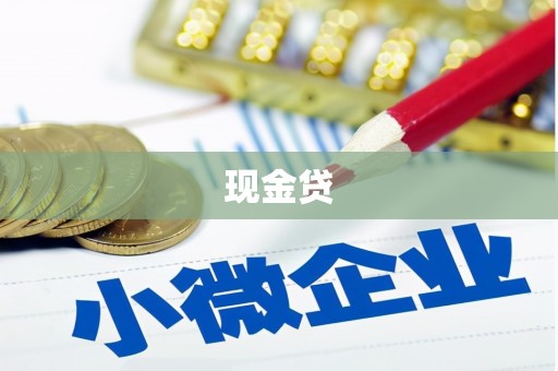 文圣现金贷
