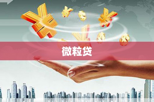文圣微粒贷