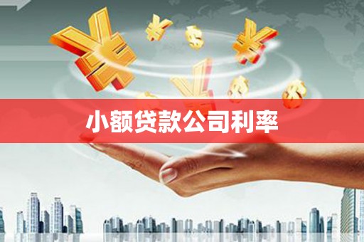 文圣小额贷款公司利率
