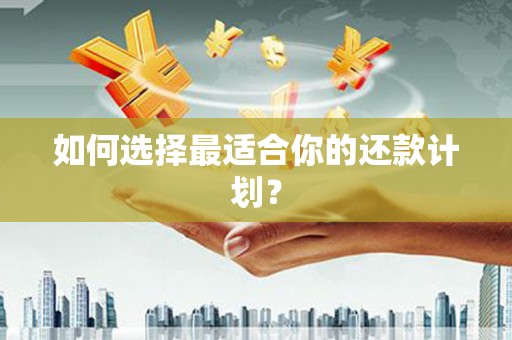 文圣如何选择最适合你的还款计划？