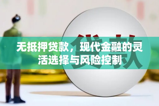 文圣无抵押贷款，现代金融的灵活选择与风险控制