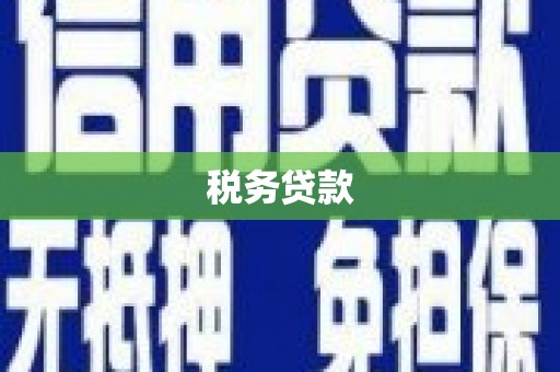 文圣税务贷款